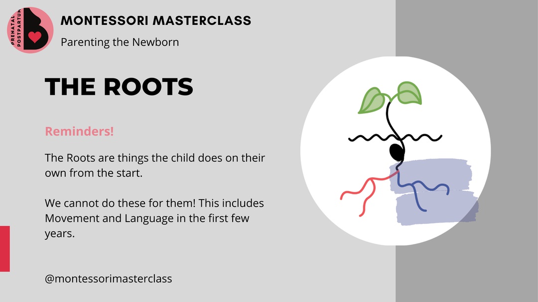 Montessori Masterclass: Parenting Birth to Six